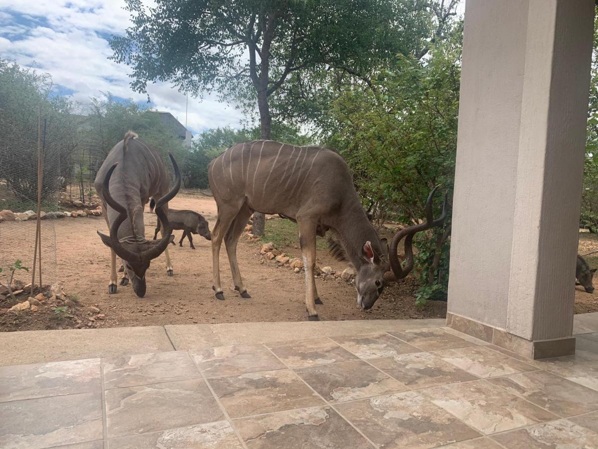 Impala Lily Villa Marloth Park Dış mekan fotoğraf