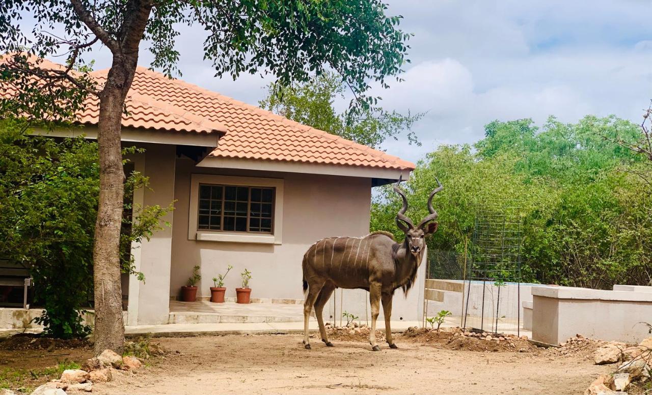 Impala Lily Villa Marloth Park Dış mekan fotoğraf