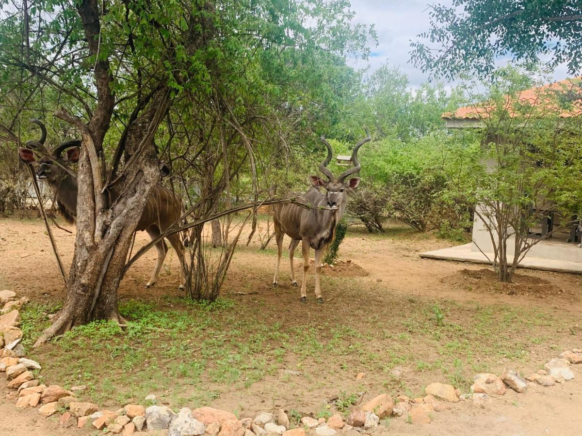 Impala Lily Villa Marloth Park Dış mekan fotoğraf